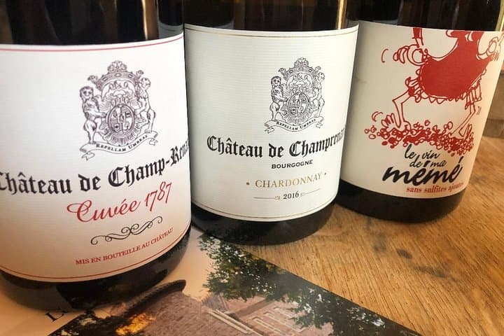 Gourmet Walk, Tasting & Picnic at Château Champ-Renard Near Lyon photo 5