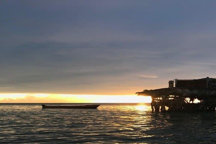 YS Falls, Floyd’s Pelican Bar & Black River Safari — Full-Day South Coast Tour