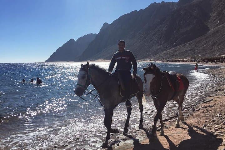 Snorkel the Dahab Blue Hole and Three Pools: Full-Day Reef Adventure photo 4