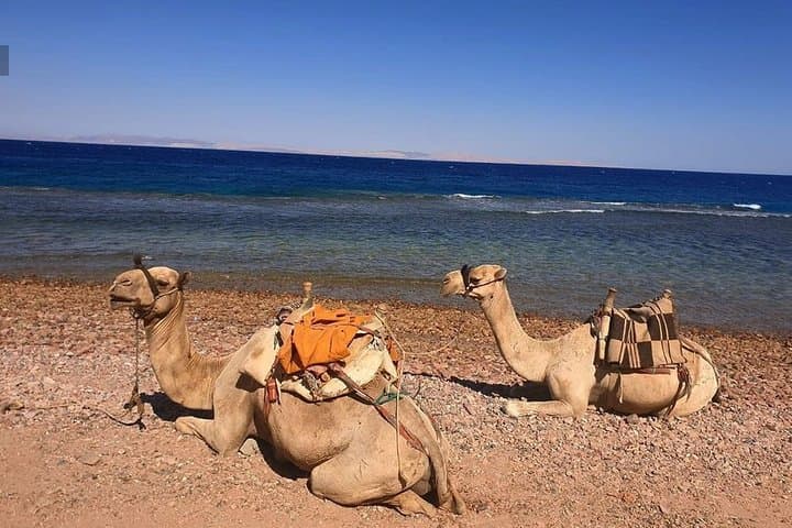 Snorkel the Dahab Blue Hole and Three Pools: Full-Day Reef Adventure photo 6