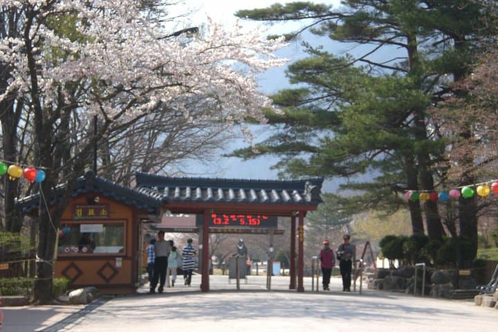 Full-Day Mt. Seorak Tour: Cable Car to Gwongeumseong & Sinheungsa Temple photo 3