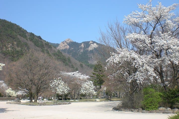 Full-Day Mt. Seorak Tour: Cable Car to Gwongeumseong & Sinheungsa Temple photo 4