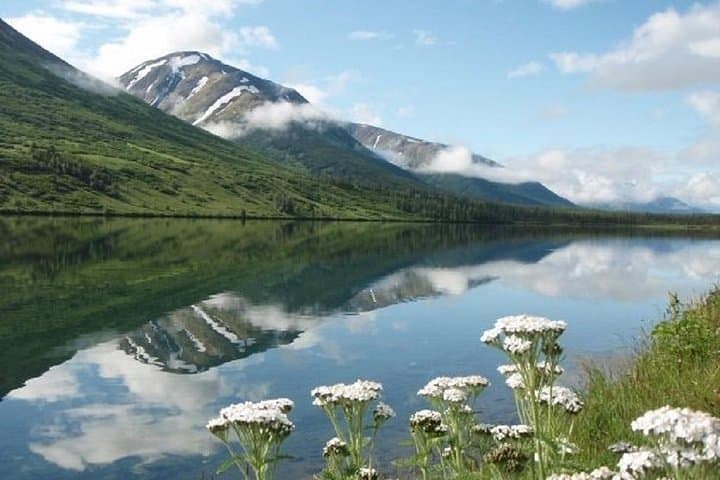 Seward to Anchorage Cruise Transfer and Private Tour — Seward Highway, Turnagain Arm & Exit Glacier photo 5