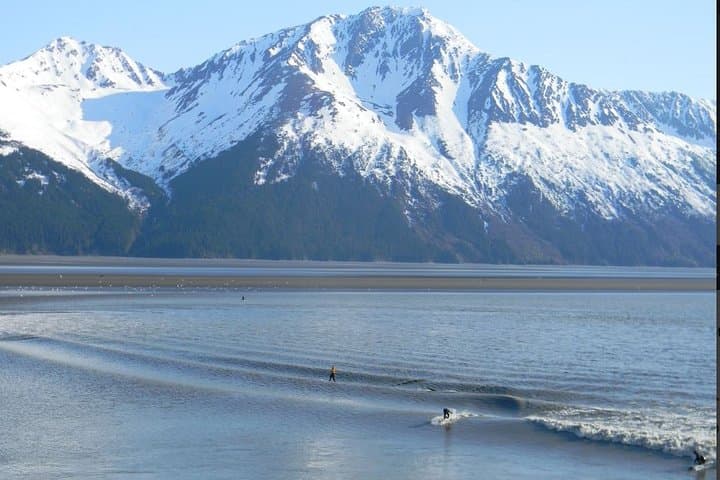 Seward to Anchorage Cruise Transfer and Private Tour — Seward Highway, Turnagain Arm & Exit Glacier photo 3