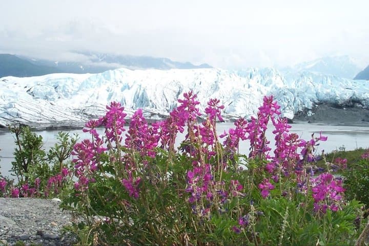 Explore Matanuska Glacier: Guided Summer Glacier Walk from Anchorage photo 5