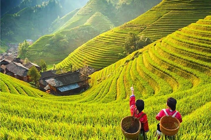 4-Day Private China Highlights Tour: Beijing, Xi'an, Guilin & Shanghai photo 1