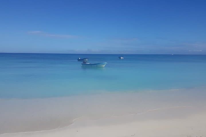 Amber Cove to Paradise Island: Cayo Arena Snorkel & Beach Excursion