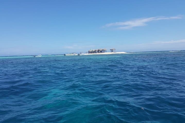 Amber Cove to Paradise Island: Cayo Arena Snorkel & Beach Excursion photo 2