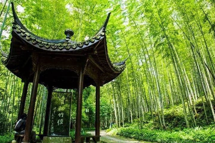 Half-Day Hangzhou Nature Explore: Longjing Tea Fields & Yunxi Bamboo Forest photo 3