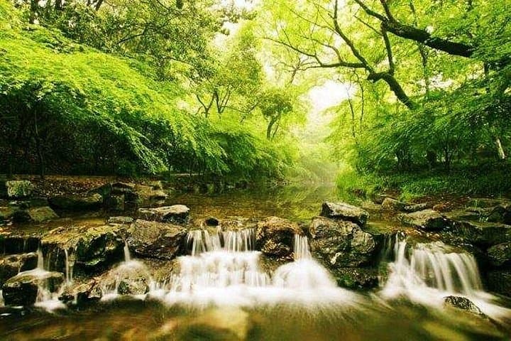 Half-Day Hangzhou West Lake Cruise and Lingyin Temple Private Tour photo 4