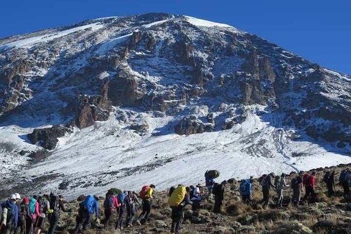 Lemosho Route: 7-Day Kilimanjaro Trek to Uhuru Peak