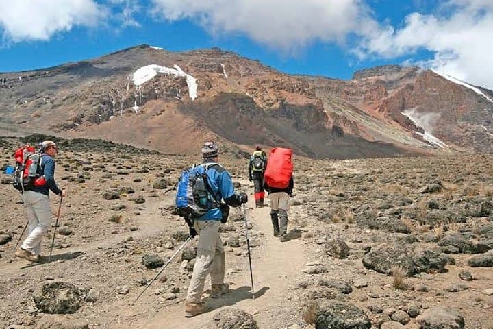Lemosho Route: 7-Day Kilimanjaro Trek to Uhuru Peak photo 2