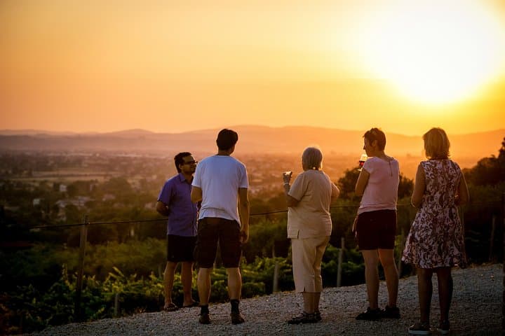Open-Air Organic Wine Tasting with Panoramic Views of Assisi