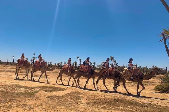 Sunset Camel Ride in Marrakech Palm Grove: 2-Hour Palmeraie Camel Trek photo 2