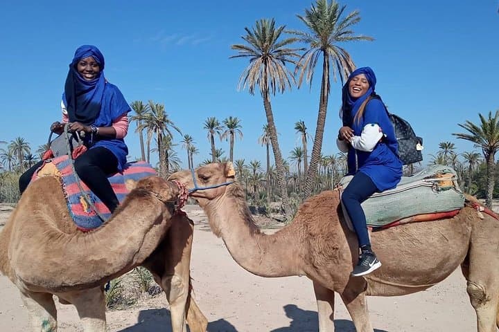 Sunset Camel Ride in Marrakech Palm Grove: 2-Hour Palmeraie Camel Trek photo 5