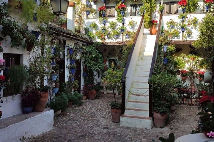 Explore Córdoba by Bike: Mezquita, Patios & Roman Bridge in 2 Hours photo 4