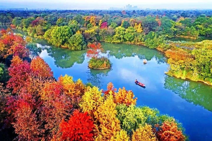 Xixi Wetland Half-Day Tour with Boat Ride — Hangzhou Nature & Culture photo 4