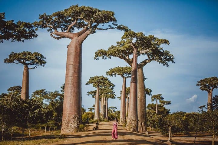 Madagascar 15-Day Expedition: Indri Calls, Tsingy Spires & Isalo Canyons photo 4