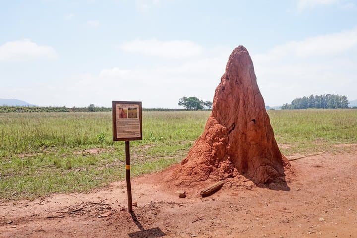 2-Day Cultural Immersion and Game Drive at Hlane Royal National Park photo 4