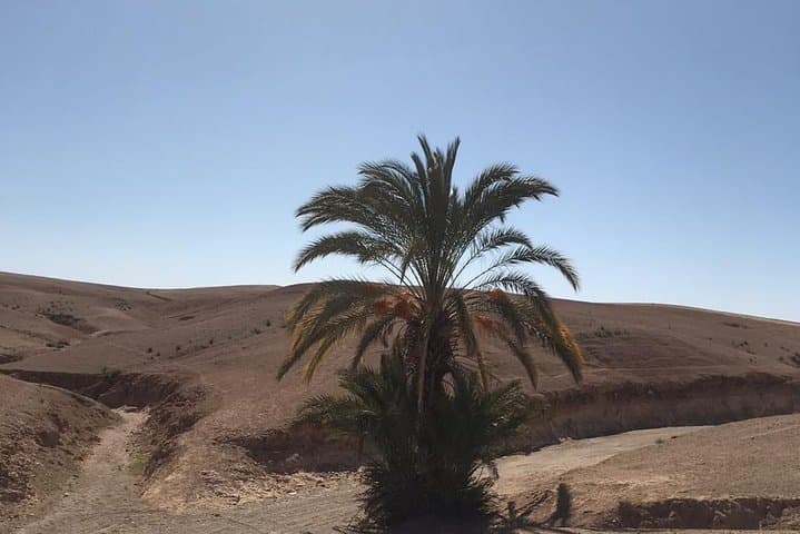 3-Day Merzouga Desert Tour from Marrakech — Camel Camp on Erg Chebbi photo 2