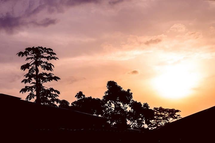 Azobe East Adventure Safari 13D/12N — Cameroon Rainforest Trek, Pygmy Cultural Immersion & Gorilla Watching