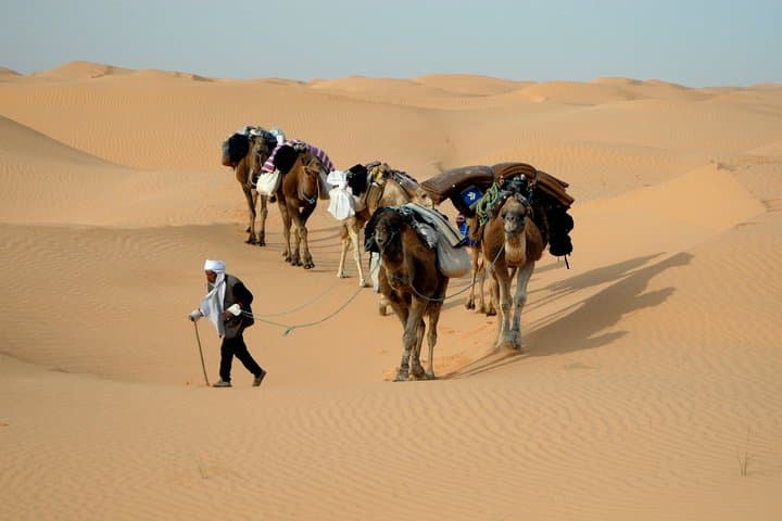 7-Day Camel Caravan in the Great Oriental Erg: Dunes, Camps & Ksar Ghilane photo 3