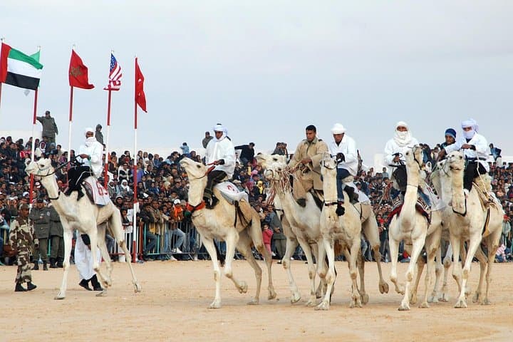 Tunisia 10-Day Cultural & Desert Tour — Carthage, Kairouan & the Sahara photo 2