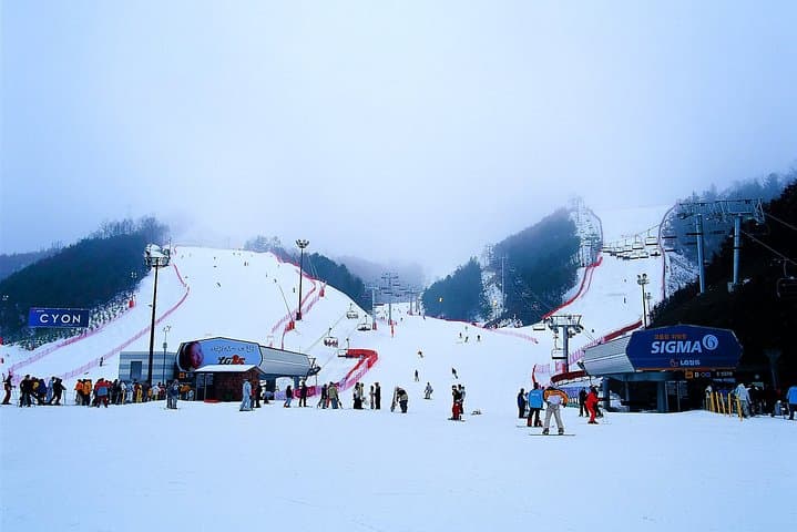 Seoul Day Trip: Ski Gangchon Elysian & Nami Island Ferry photo 2
