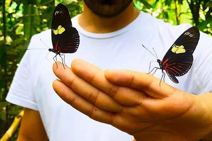 Pilpintuwasi Butterfly Farm & Indigenous Community Tour from Iquitos photo 2