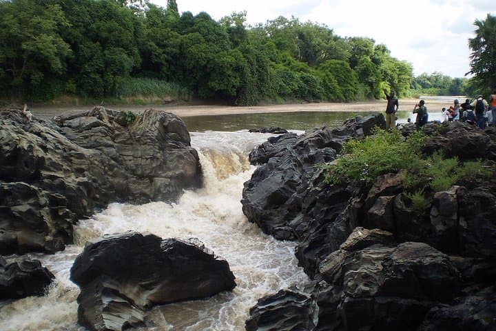 Lobeke National Park Express: 11-Day Cameroon Jungle Safari & Gorilla Trekking