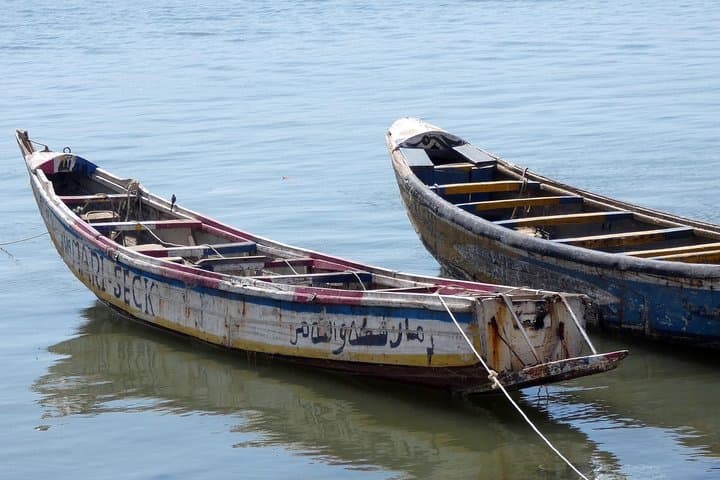 14-Day Senegal Safari: Wildlife, Desert & Coastal Culture photo 6