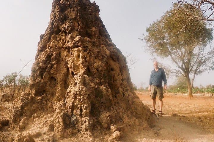 4-Day Wassadou & Dindefello Falls Safari: Niokolo-Koba Game Drives and Waterfall Walks photo 4