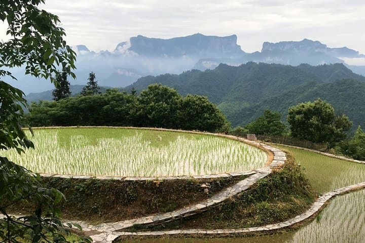 4-Day Zhangjiajie Highlights: Tianmen, Glass Bridge & Rice Terrace Tour
