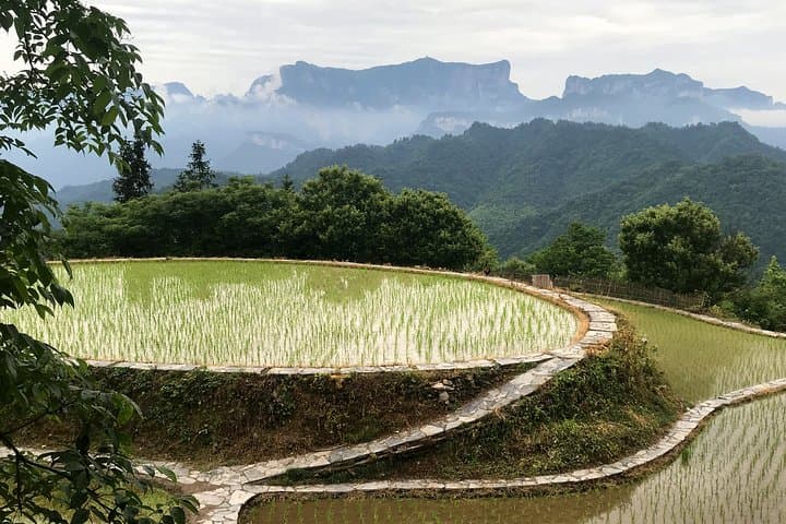 4-Day Zhangjiajie Highlights: Glass Bridge, Tianmen & Rice Terraces