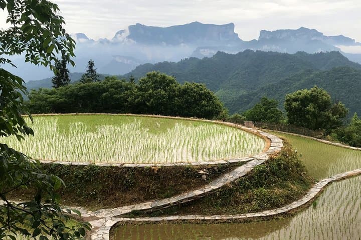Zhangjiajie 4-Day Highlights: Glass Bridge, Tianzi Peaks & Rice Terrace Tour