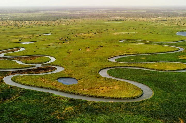 Botswana Highlights Safari: 7-Day Okavango, Chobe & Kalahari Adventure photo 2