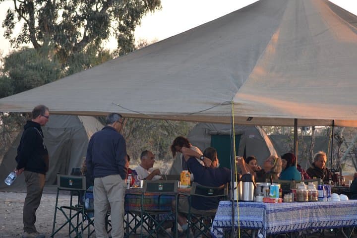 Botswana Highlights Safari: 7-Day Okavango, Chobe & Kalahari Adventure photo 4
