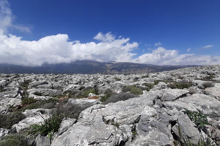 Anopolis to Livaniana: Coastal & Gorge Roundhike on Crete's South Coast photo 4