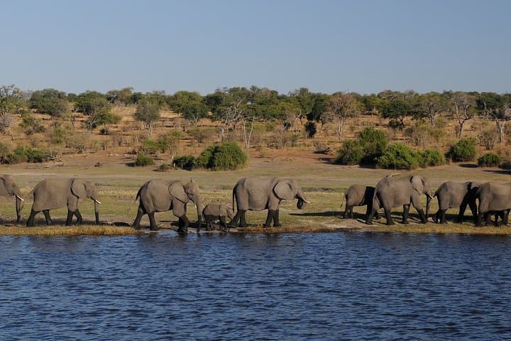 4-Day Victoria Falls & Hwange Safari Adventure: Falls, Zambezi Sunset & Hwange Game Drives photo 6