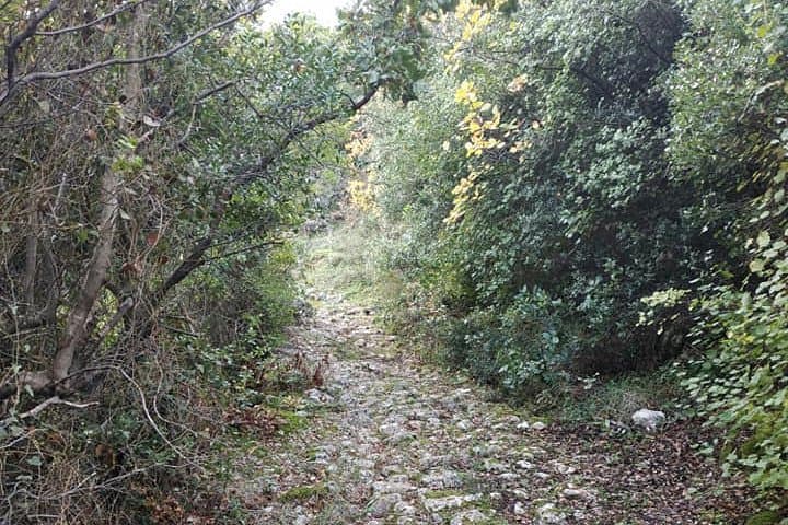 Hiking Tyros, Arcadia — Sea-and-Mountain Walk Through Tsakonian Village photo 2