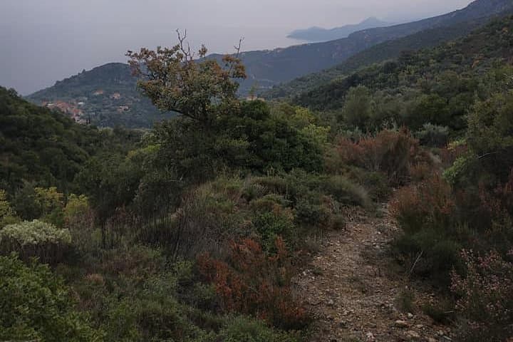 Hiking Tyros, Arcadia — Sea-and-Mountain Walk Through Tsakonian Village photo 3