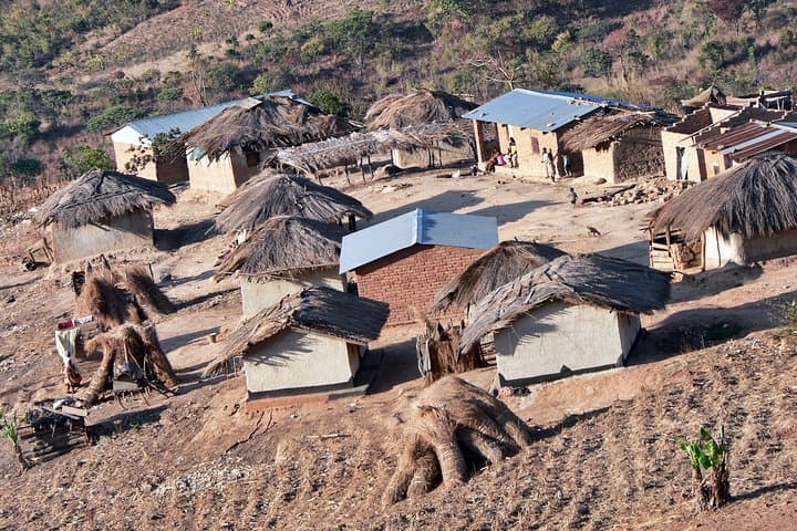 Luangwa and Lake Malawi: 6-Day Wildlife and Island Adventure photo 4