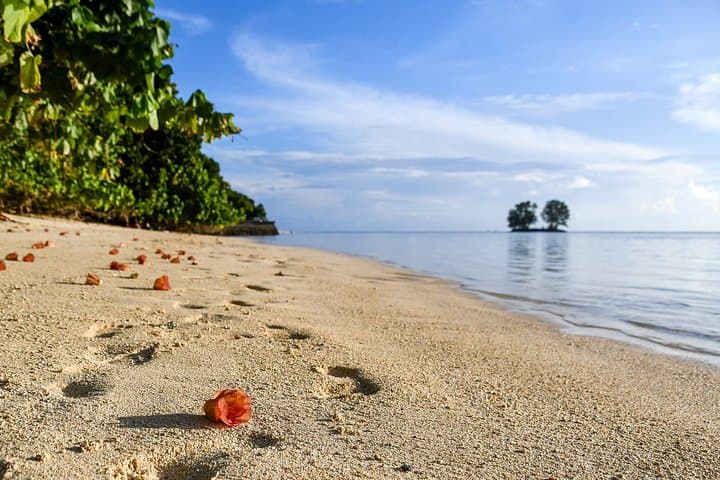 Seychelles Family Holiday: 7-Day Mahé, Praslin & La Digue Adventure photo 2