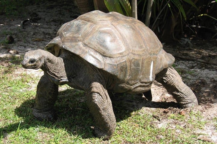 Seychelles Family Holiday: 7-Day Mahé, Praslin & La Digue Adventure photo 4