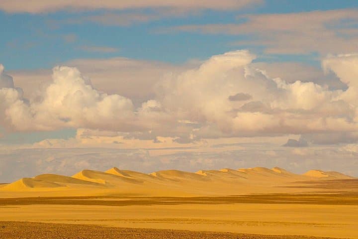 14-Day Morocco Adventure Safari: Fez, Middle Atlas, Erg Chebbi & Atlantic Coast photo 1