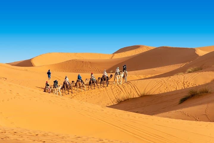 3-Day Merzouga Desert Tour from Marrakech — Camel Camp on Erg Chebbi photo 6