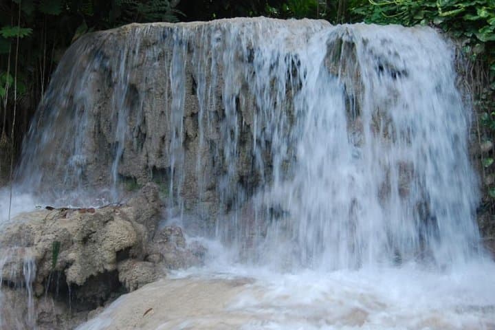 Turtle River Falls and Gardens Private Tour — Ocho Rios Waterfalls, Aviary & Koi Pond photo 3