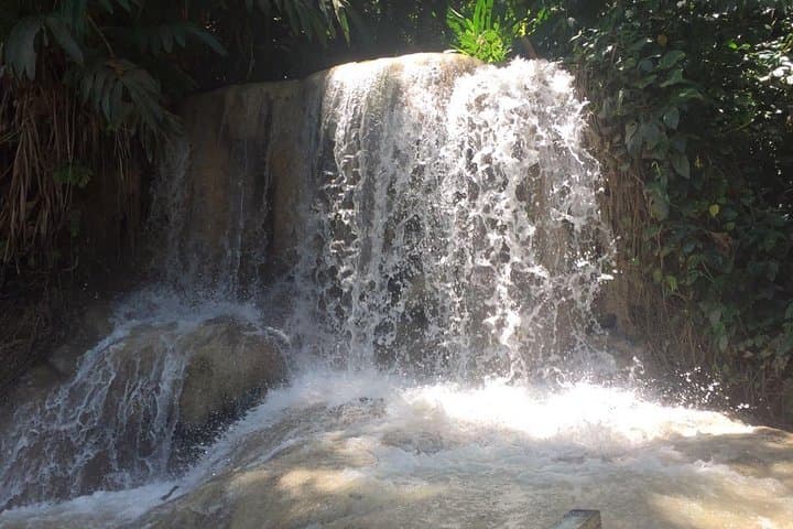 Turtle River Falls and Gardens Private Tour — Ocho Rios Waterfalls, Aviary & Koi Pond photo 4