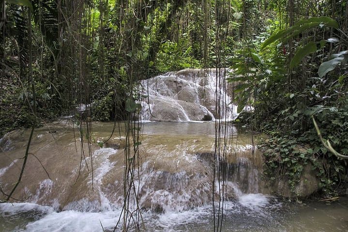 Turtle River Falls and Gardens Private Tour — Ocho Rios Waterfalls, Aviary & Koi Pond photo 5