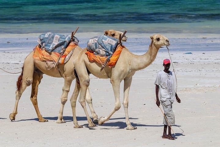 Budget Malindi Adventure: 5-Day Coastal Relaxation + Tsavo Game Drive photo 2